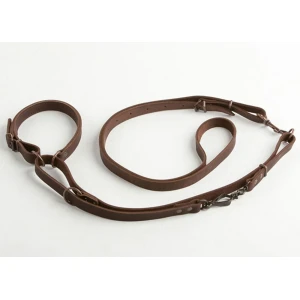 Führleine mit Schnellverschluss