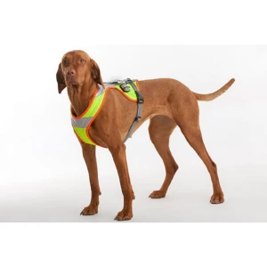 REINEKE Profi-Nachsuche-Arbeitsgeschirr Leuchtfarben