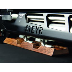 Steyr Luftgewehr Challenge E