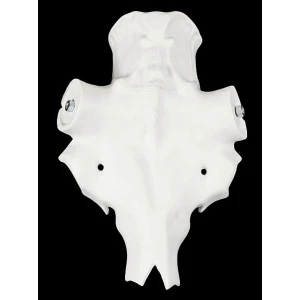 Elchschädel Aluminium