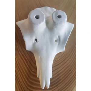 Aluminium-Schädel für Gams / Gämse