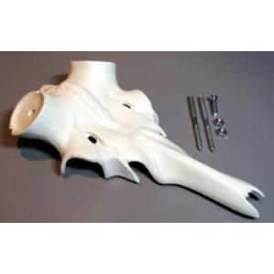 Aluminiumschädel Rothirsch mit Nasenbein