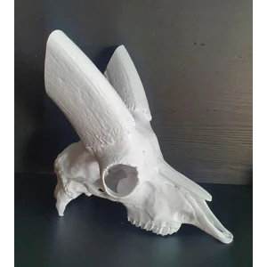 Steinbockschädel aus Kunststoff