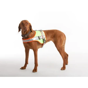 REINEKE Leuchtdecke mit LED-Lampen