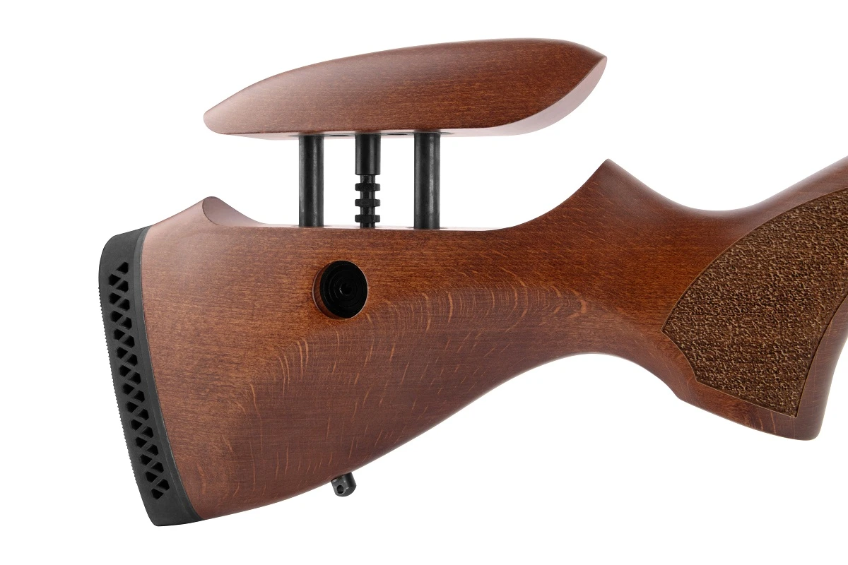 Diana Luftgewehr R-22 Carbon Premium