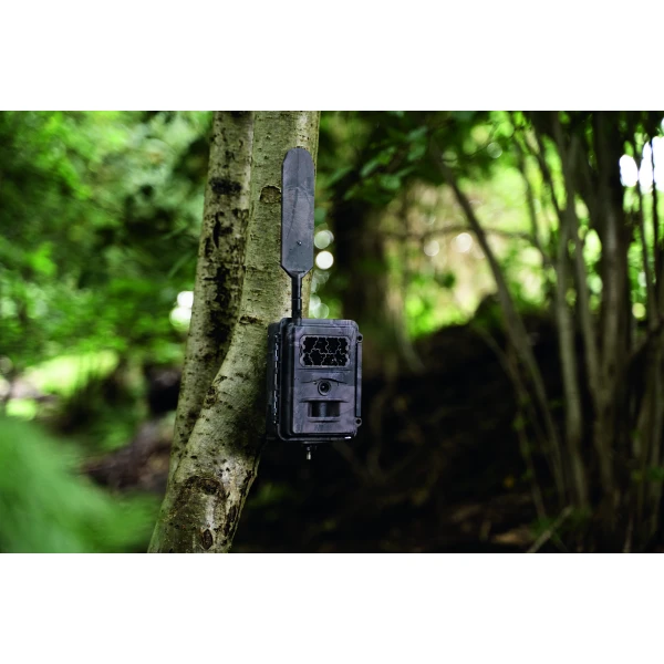 Seissiger Wildkamera Base-Cam LTE SUPERSIM-Edition inkl. 18650 Akkus