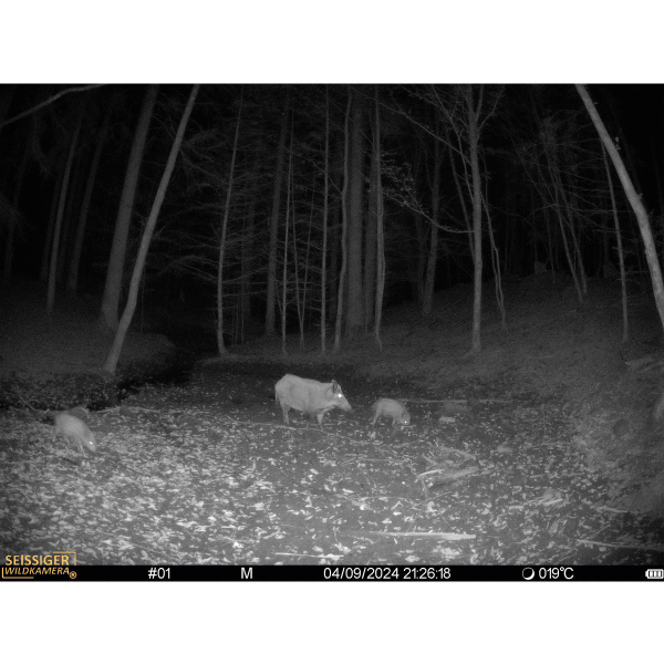 Seissiger Wildkamera Mini-Cam